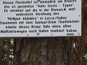 Märzwanderung 2012 klein 011